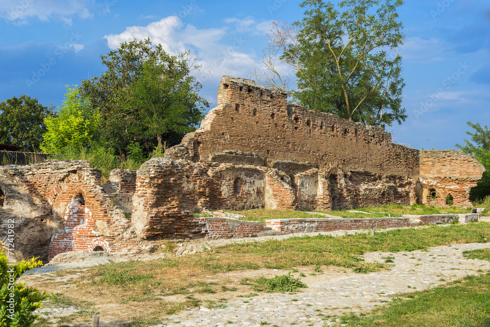 Ruins of Monastery Negoiesti