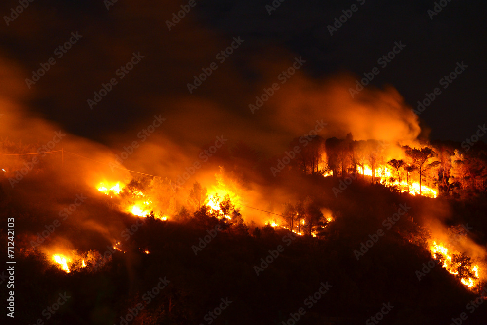 Incendio nella foresta