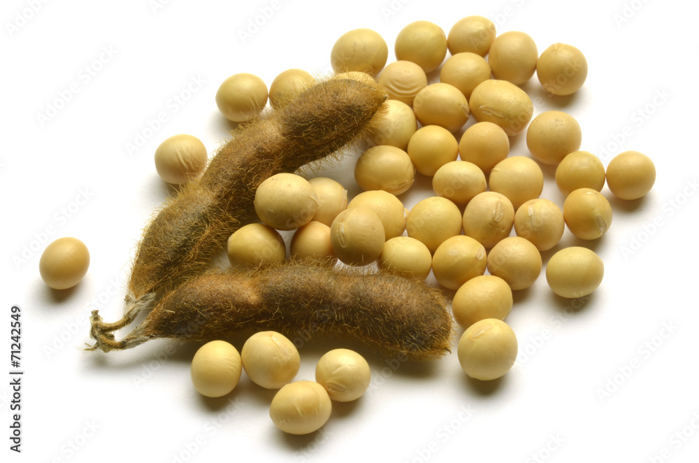 Glycine max Soybean Sojaboon Sojabohne Soya bean Соя Glycine max Soybean Sojaboon Sojabohne Soya bean Соя