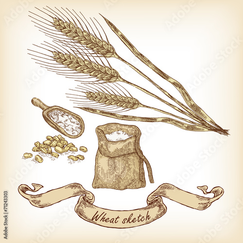 Bakery sketch. Hand drawn illustration of wheat and grain