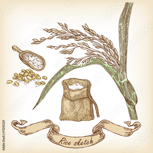 Bakery sketch. Hand drawn illustration of Rice, bag  and grain