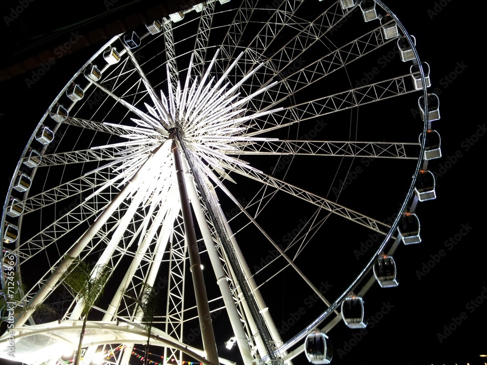 Ferris Wheel Ferris Wheel