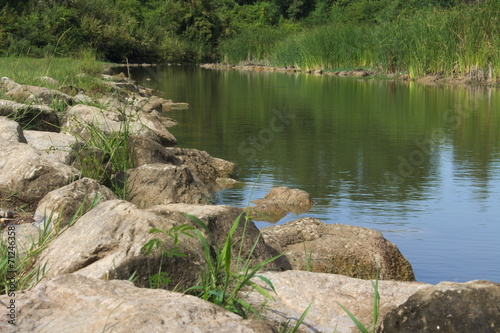 river rock stone water grass forest nature landscape