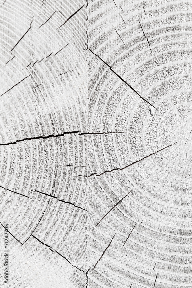 White cracked wooden pattern, background photo texture