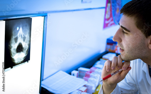 Young doctor looking at X-ray