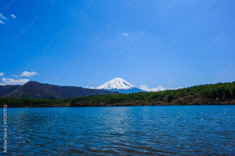 Mt.Fuji