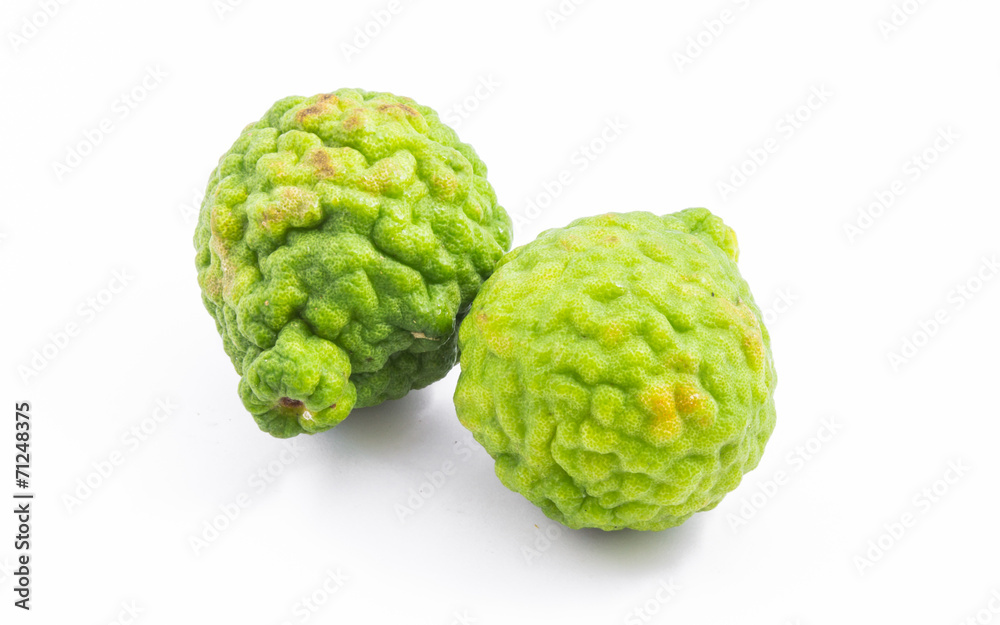Fresh Kaffir Lime Isolated Fresh Kaffir Lime Isolated
