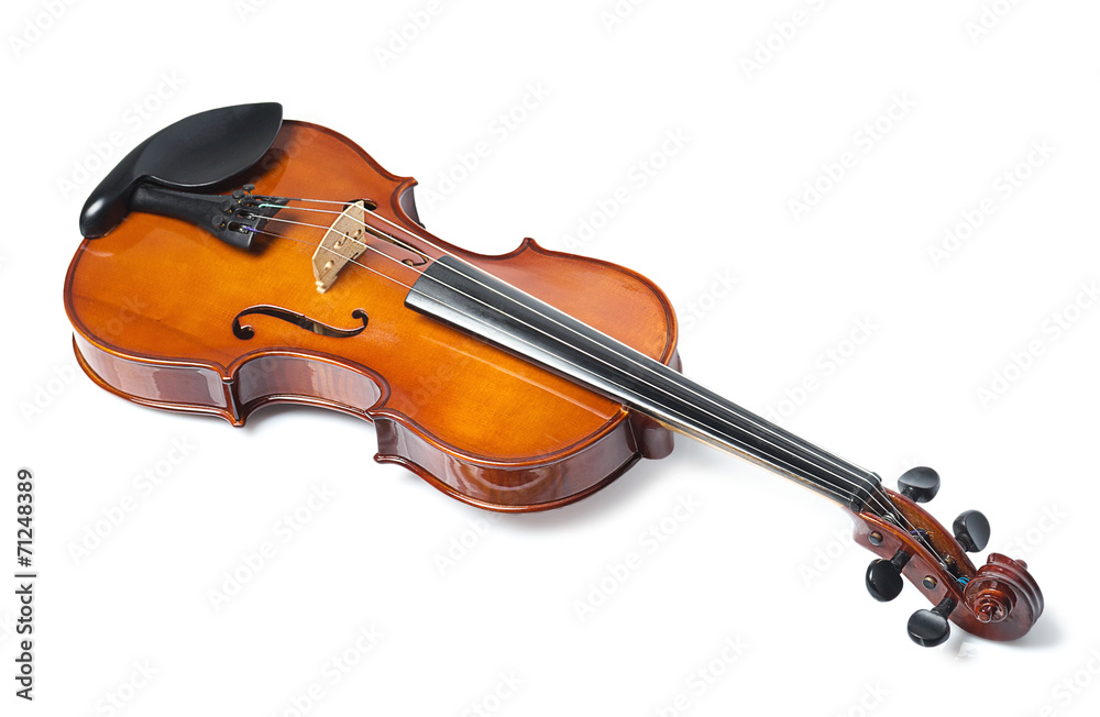 Fototapeta premium The beautiful wooden violin isolated on white
