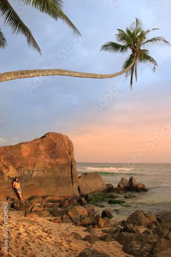 Leaning palm tree with big rocks, Unawatuna beach, Sri Lanka