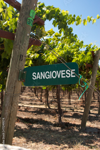 Sangiovese Signpost of California