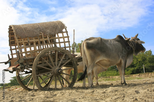 Tourist taxi in Mingun, Mandalay region, Myanmar
