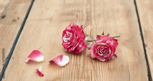 Fototapeta Naklejka Na Ścianę i Meble -  Beautiful rose flowers with petal on rustic table