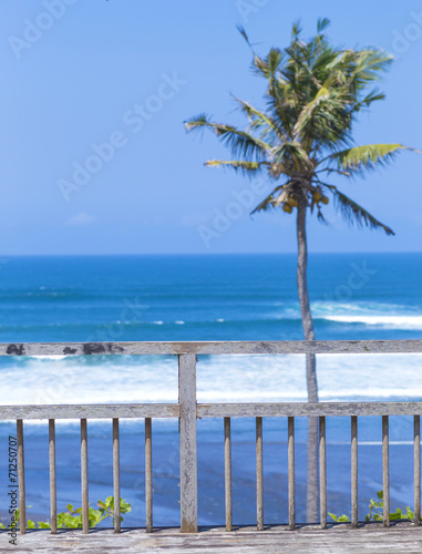 Untouched sandy beach with palms trees