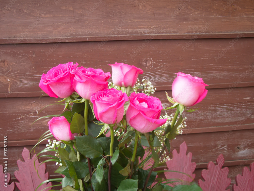 Pink Roses