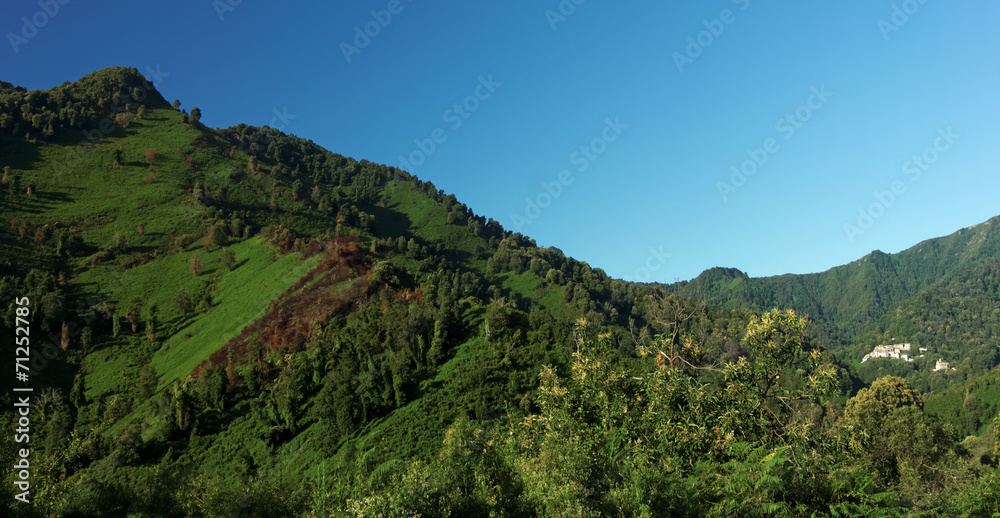 Fototapeta premium Montagne de Costa verde en Corse