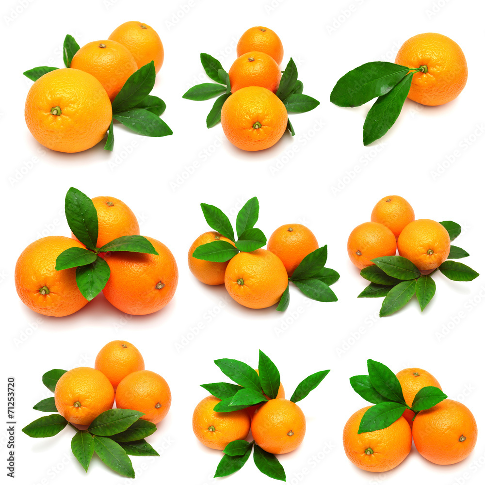 Collection oranges with leaves Collection oranges with leaves