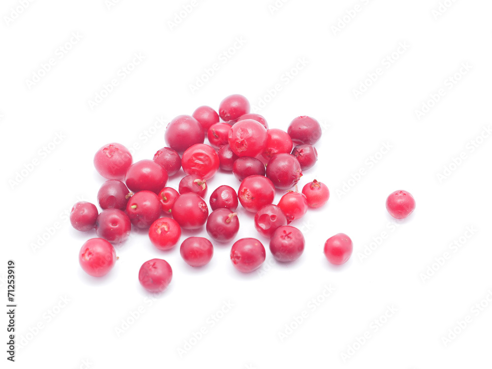 cranberries on white background cranberries on white background