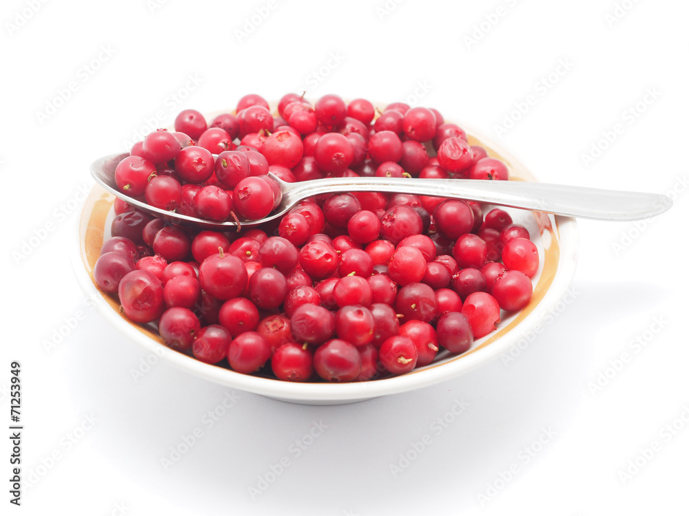 cranberries in a bowl on a white background cranberries in a bowl on a white background