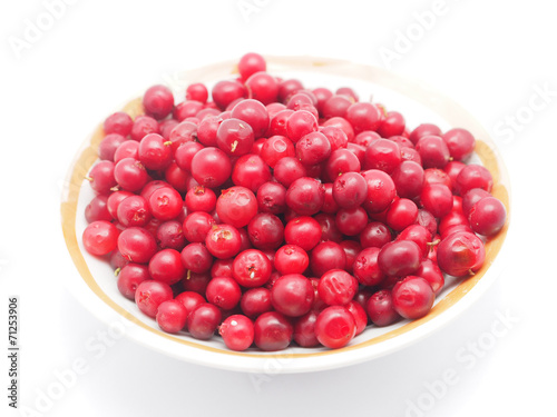 cranberries in a bowl on a white background