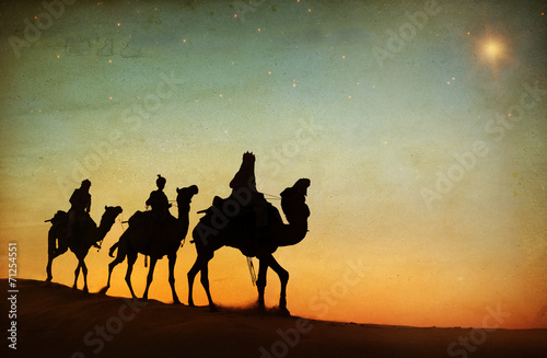 Group of People Riding Camel in Desert