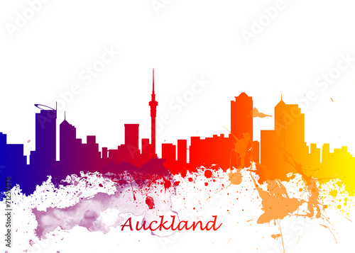 Auckland New Zealand Skyline