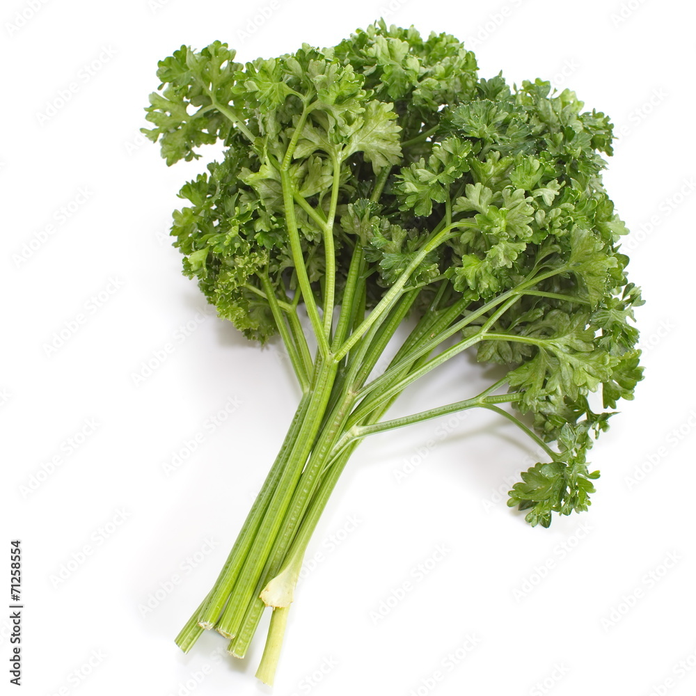 Bunch of fresh green curly parsley isolated on white background