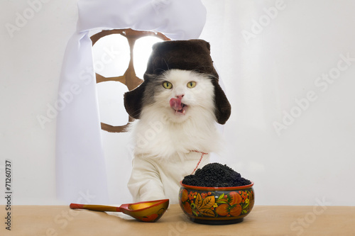 Russian cat eats caviar