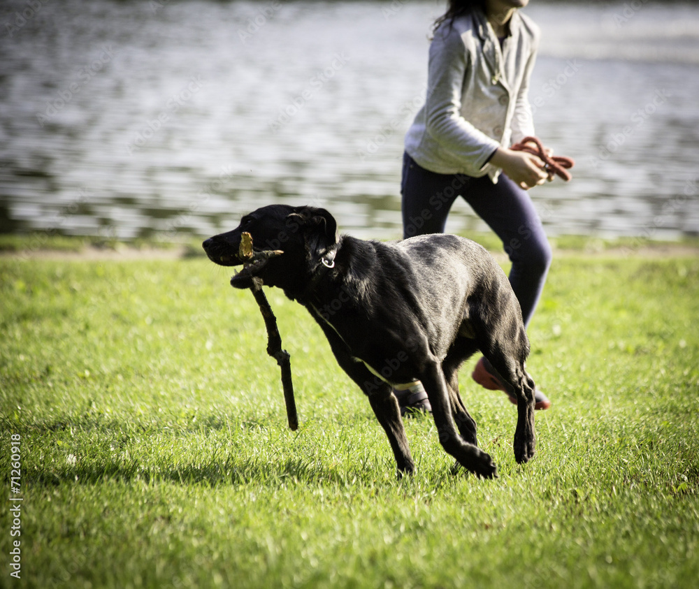 young girl and dog on the grass young girl and dog on the grass