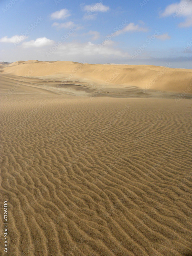 Namib Desert