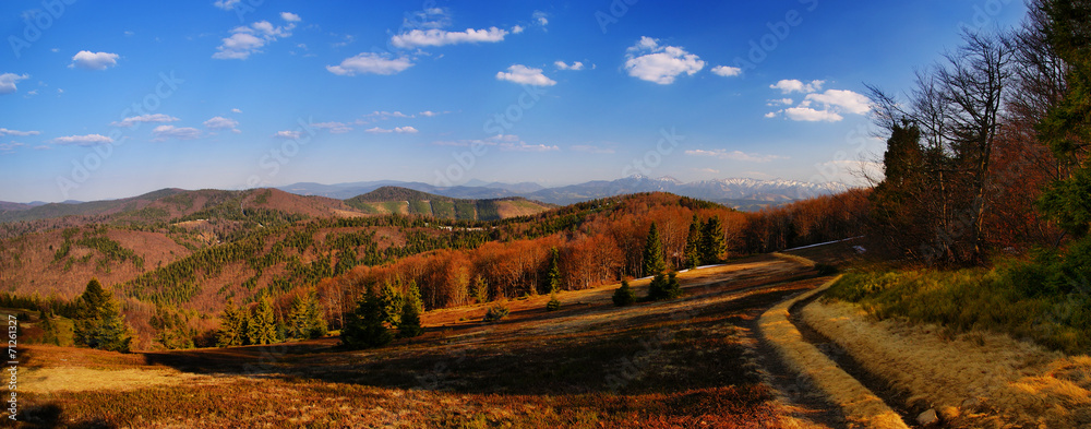 The trail to the Great Racza, Zwardoń, Beskid Żywiecki