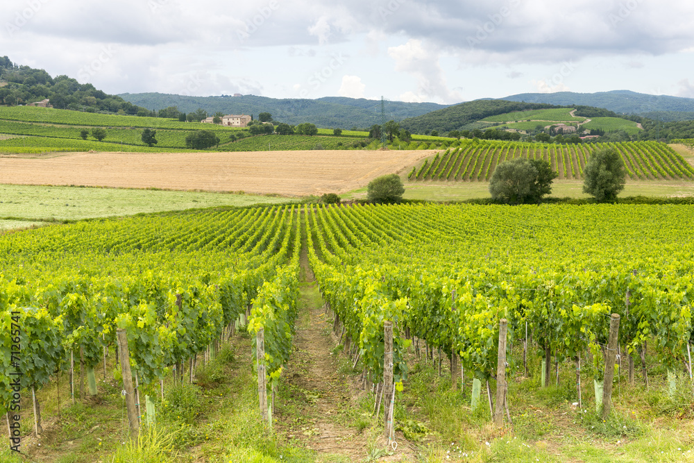 Montalcino (Tuscany, Italy)