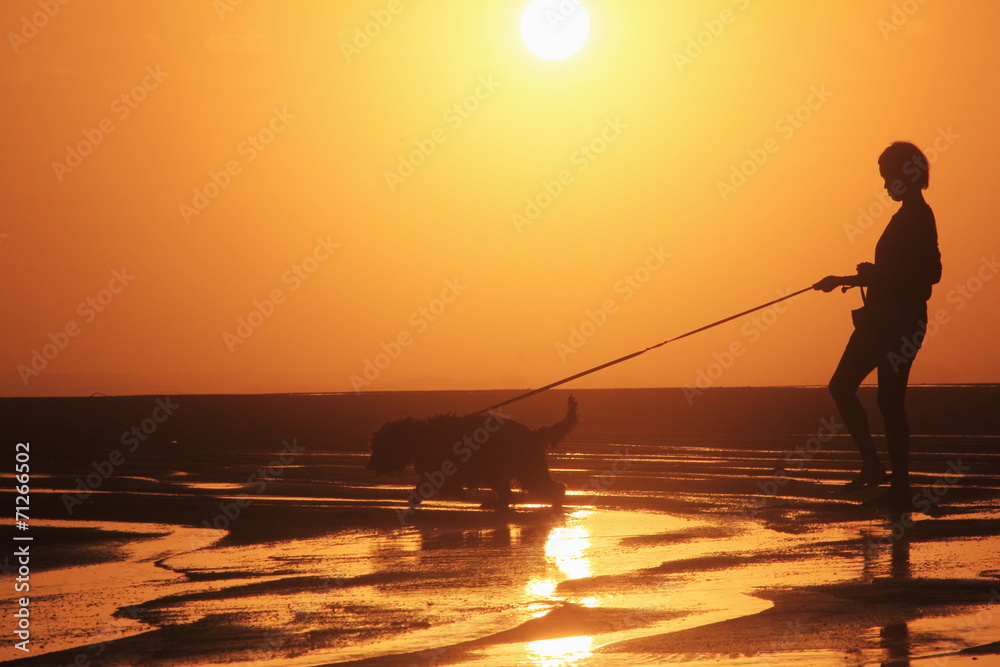 浜辺を散歩する女性と犬のシルエット