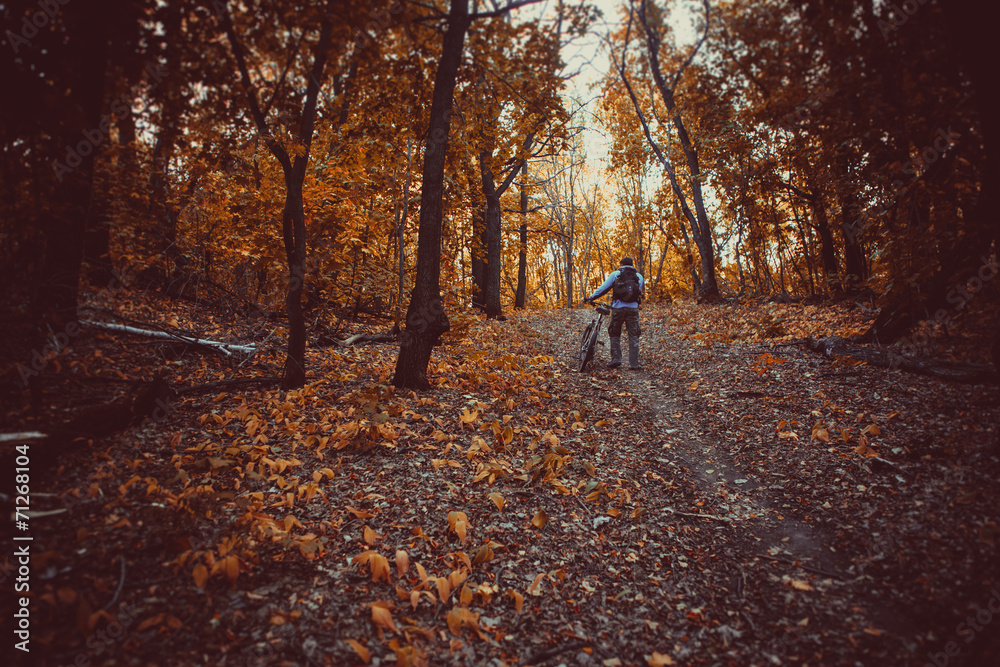 Man with bike in forest Man with bike in forest