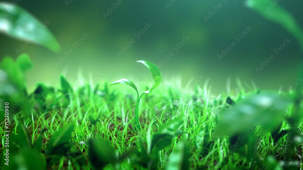 Growing plant, beautiful 3d animation Growing plant, beautiful 3d animation