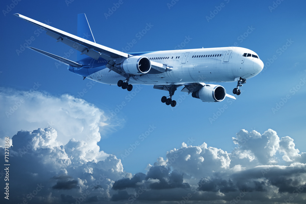 Obraz premium Night flight