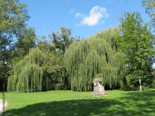 Cher - Mehun-sur-Yèvre - Le Parc et ses saules pleureurs photo