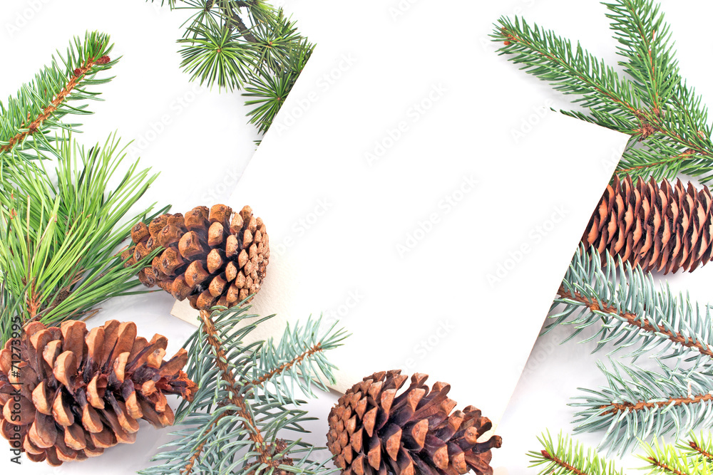 Fototapeta premium Pine cones and needles on white background