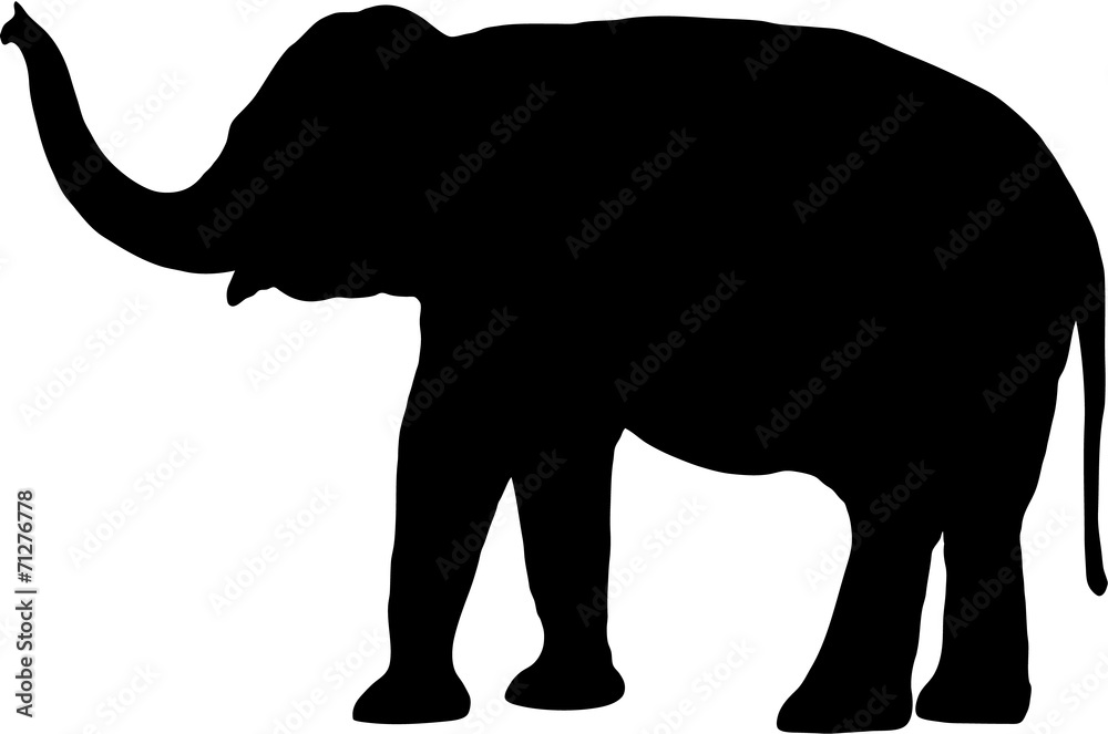 Naklejka premium elephant silhouette