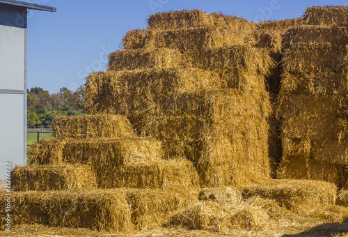 hey in a farm