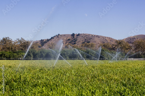 watering field