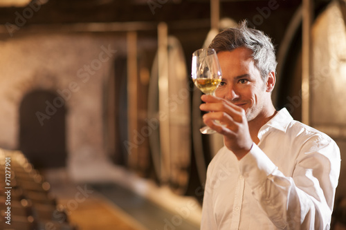 professional winemaker examining a glass of white wine in a trad photo