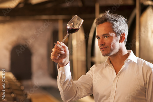 professional winemaker examining a glass of red wine in a tradit