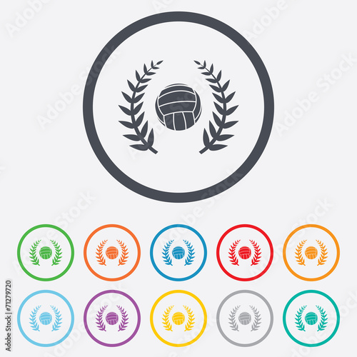 Volleyball sign icon. Beach sport symbol.