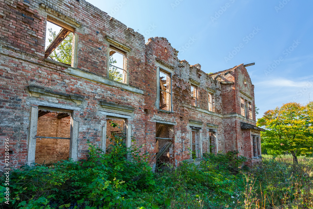 Old, abandoned, overgrown ruins
