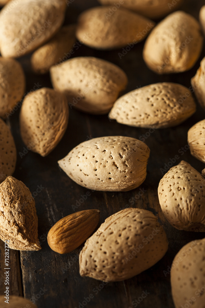 Raw Unshelled Organic Almonds Raw Unshelled Organic Almonds