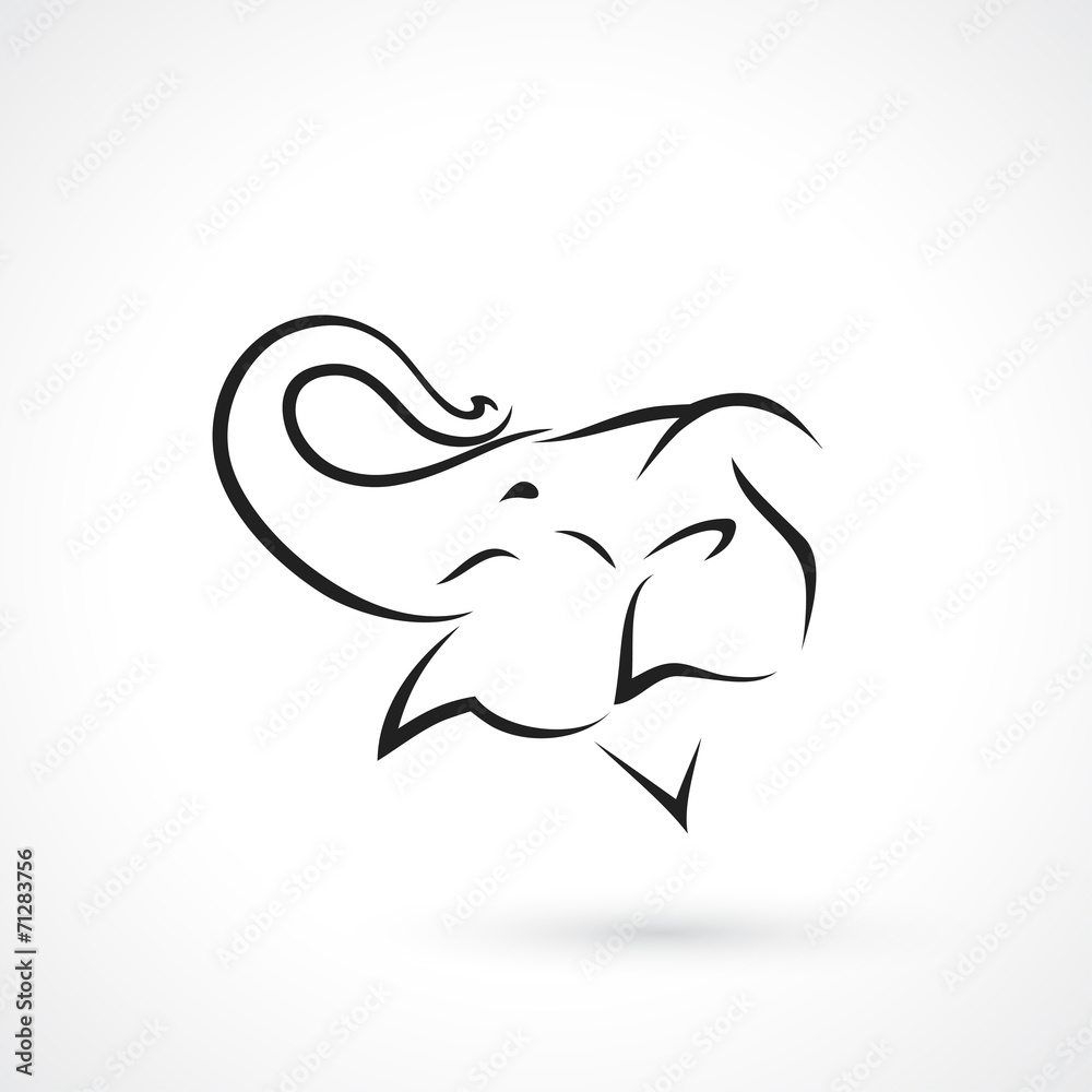 Obraz premium Isolated elephant head