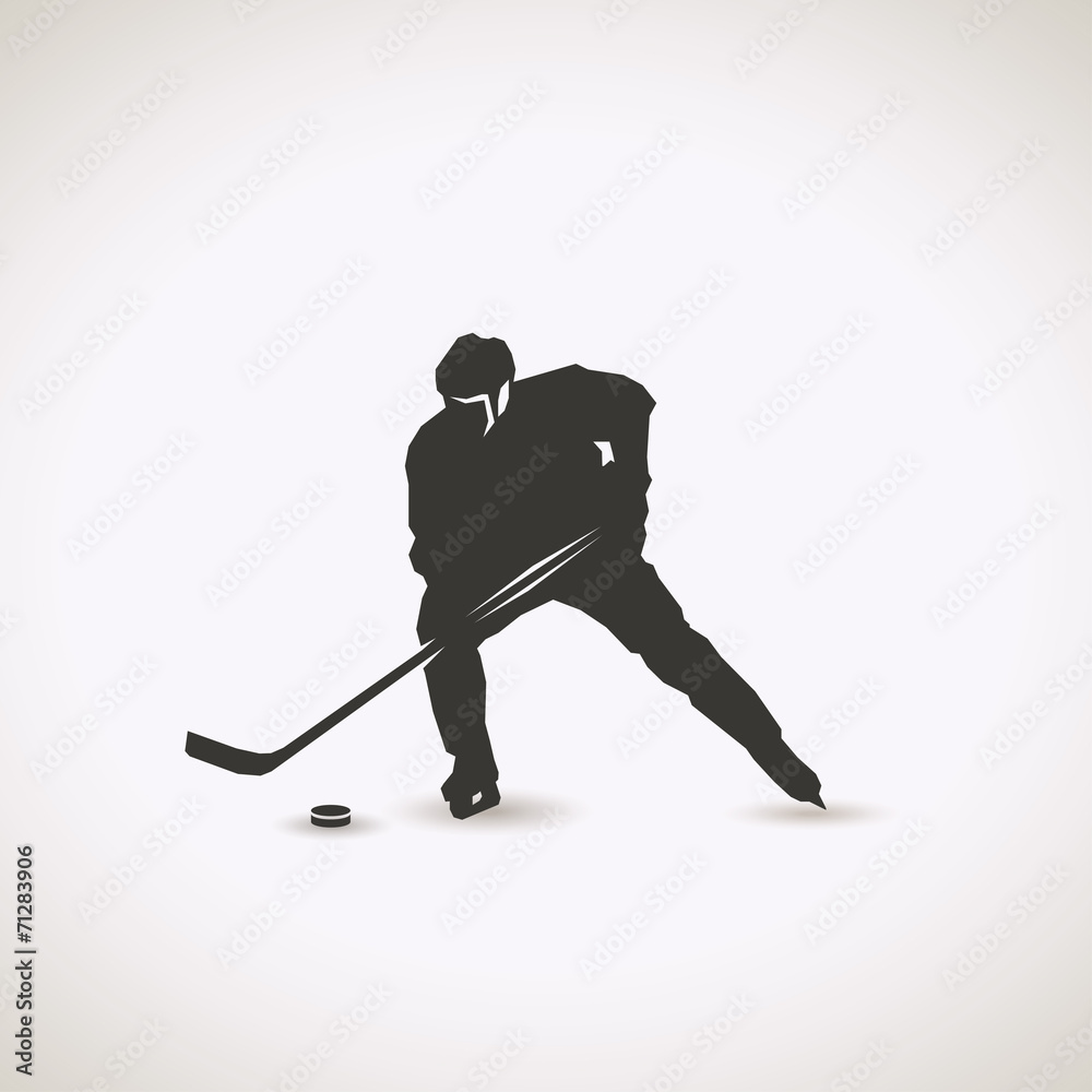 Fototapeta premium Hockey player