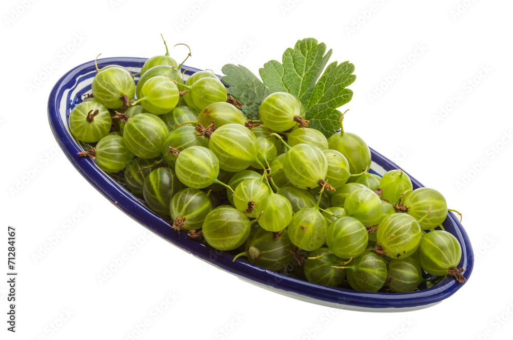 Gooseberry Gooseberry