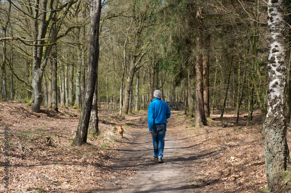 Man walking the dog Man walking the dog