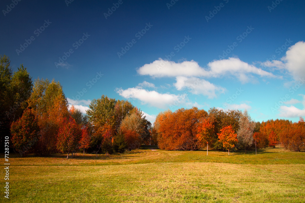 golden autumn on the lake.